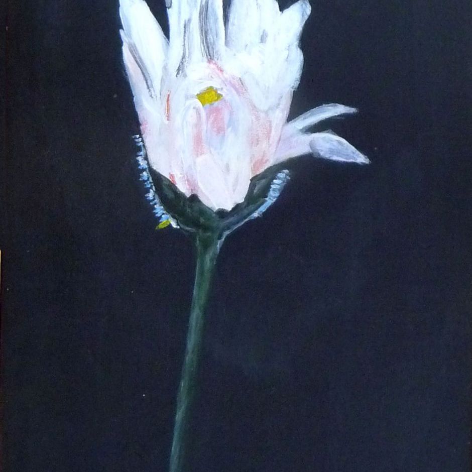 Maguerite. (akryl på lærred 22x34) Privat eje