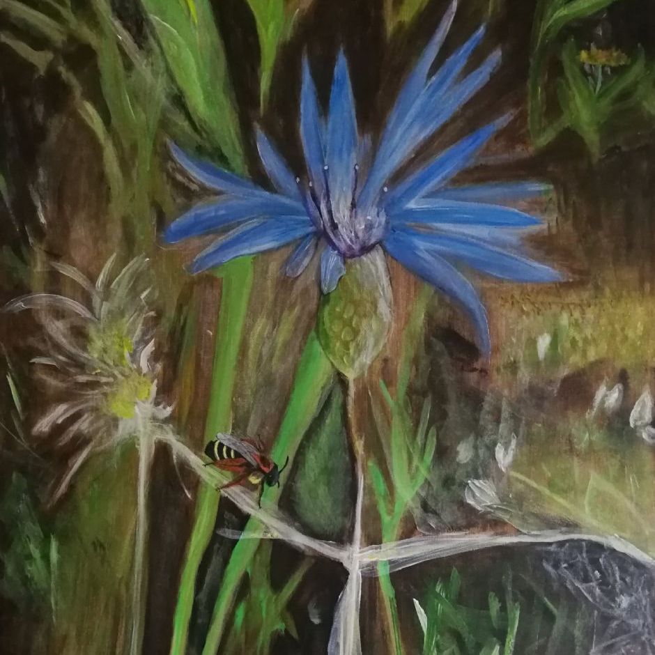 Kornblomst, (akryl på lærred 70x100)