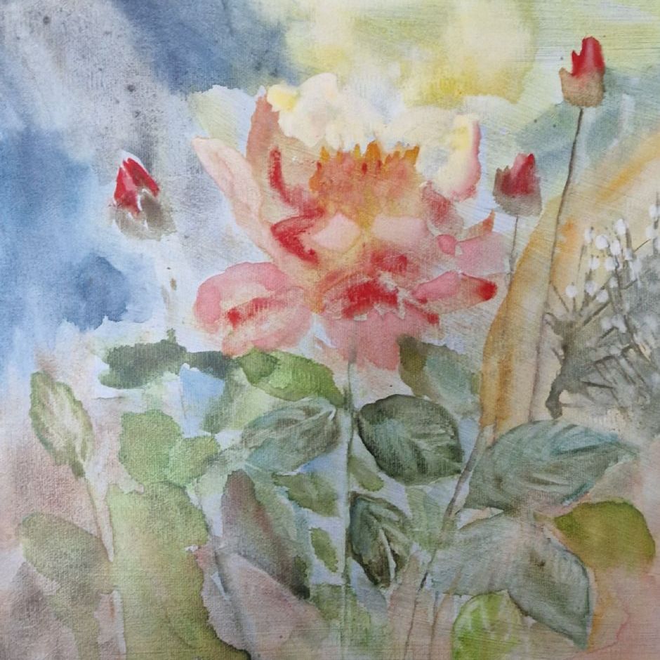 Dobbelt Rose. (akvarel og akryl på lærred  30x30)